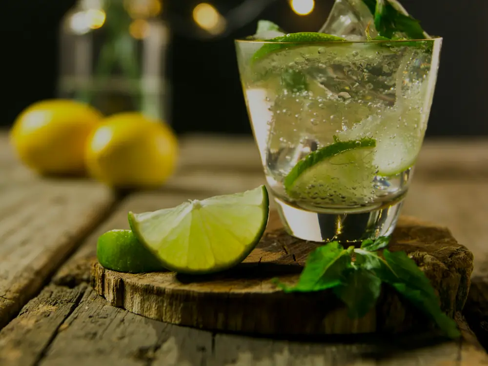 Gin tonic con lima y hierbabuena recién preparado